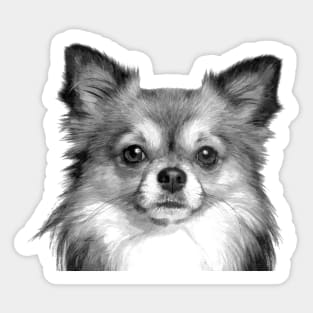 Black and White Chihuahua Sticker